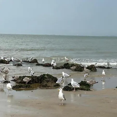 Apartament Near Knokke-Heist