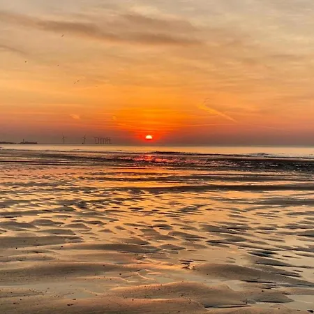 Near Apartman Knokke-Heist