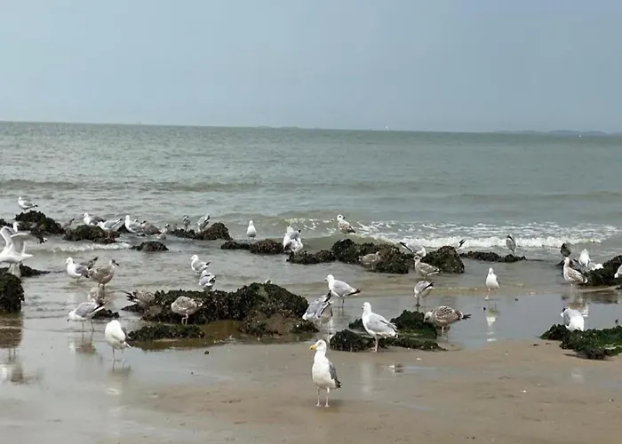 Apartament Near Knokke-Heist