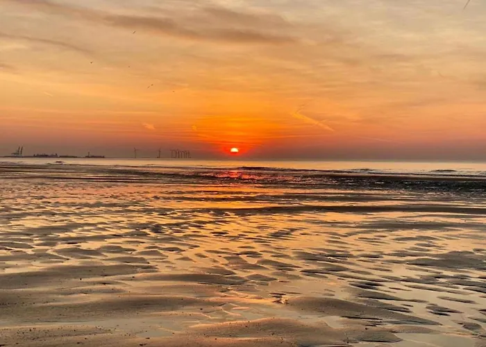 Near Apartament Knokke-Heist